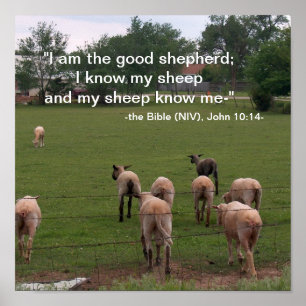 Poster/De Goede Shepherd Poster