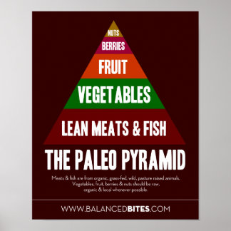 Poster: De Paleo-piramide Poster