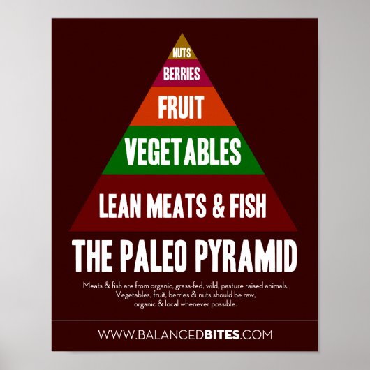 Poster: De Paleo-piramide Poster (Voorkant)