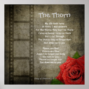 Poster— De thorn Poster