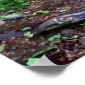 poster "De zwarte wolf" (Hoek)