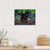 poster "De zwarte wolf" (Keuken)