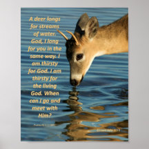Poster - Deer Drink Water met Psalms 47:1-2