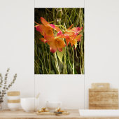 Poster, Dendrobium Orchids Oranje en Roze Poster (Keuken)