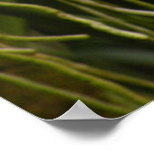 Poster, Dendrobium Orchids Oranje en Roze Poster (Hoek)