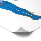 Poster Dermatome-diagram (Hoek)