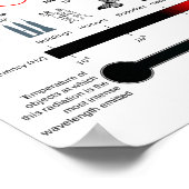 Poster Diagram Elektromagnetische spectrumeigensch (Hoek)