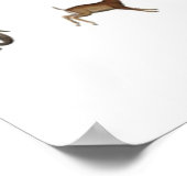 Poster dierentuin (Hoek)