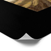 Poster Diplodocus Allosaurus Greg Paul (Hoek)