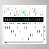 POSTER DNA-sequentiebeginsel (Voorkant)