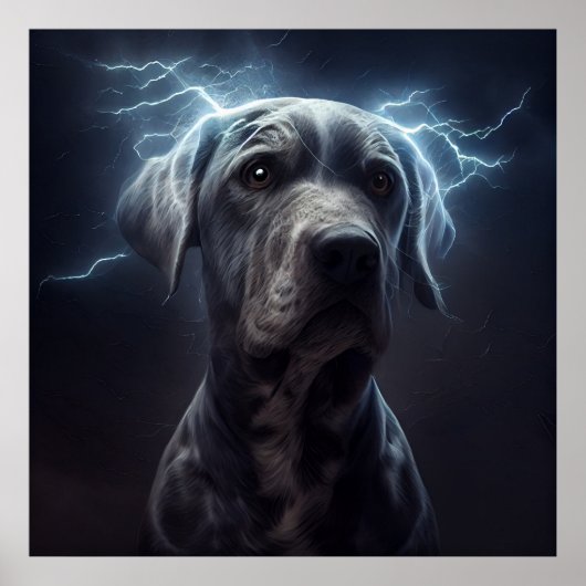 Poster Dog (Voorkant)