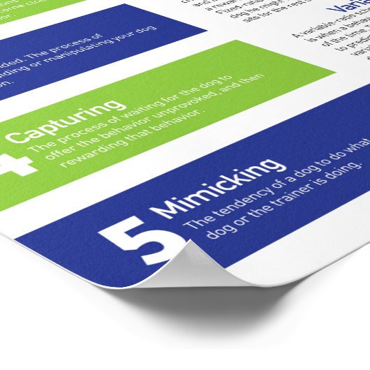 Poster Dog Training (Hoek)