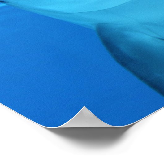 Poster dolfijn (Hoek)