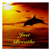 Poster dolfijn (Voorkant)