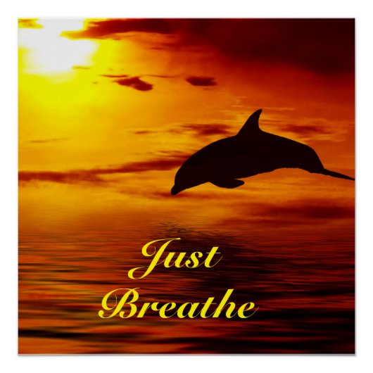 Poster dolfijn (Voorkant)