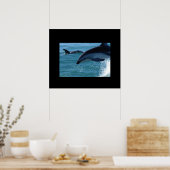 Poster dolfijnen (Keuken)