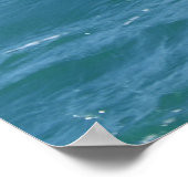 Poster dolfijnen (Hoek)