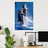 Poster dolfijnen (Thuiskantoor)