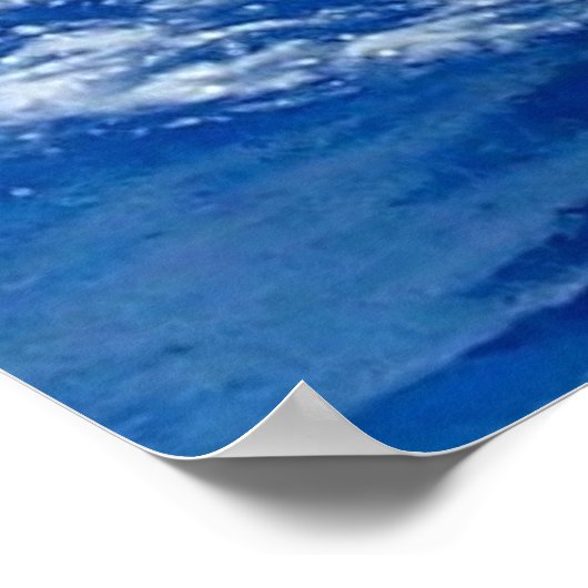 Poster dolfijnen (Hoek)