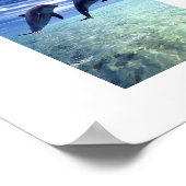 Poster dolfijnen (Hoek)