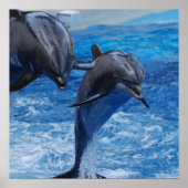 Poster Dolphin Jumping (Voorkant)
