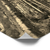 Poster dramatische bosbomen (Hoek)