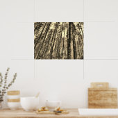 Poster dramatische bosbomen (Keuken)