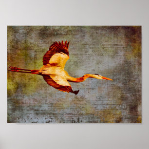 Poster-Dream-wereld Poster