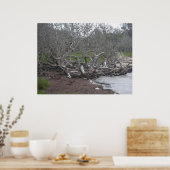 Poster Driftwood & Eel Grass Soundside OBX NC (Keuken)