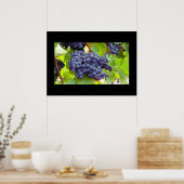 Poster druiven (Keuken)