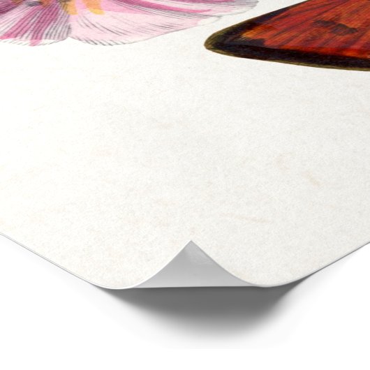 Poster drukvlinder  illustratie (Hoek)