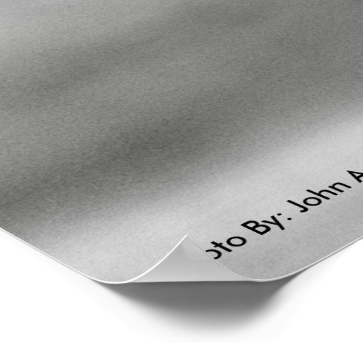 POSTER DSC_8249, Zebra-glimlach (Hoek)