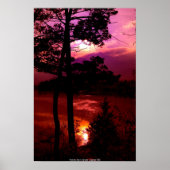 POSTER DSC_9022_sunset at Pease Reserve (Voorkant)