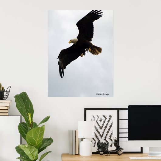 poster "Eagle In Flight" (Thuiskantoor)