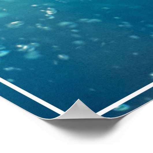 Poster-Eagle Poster (Hoek)