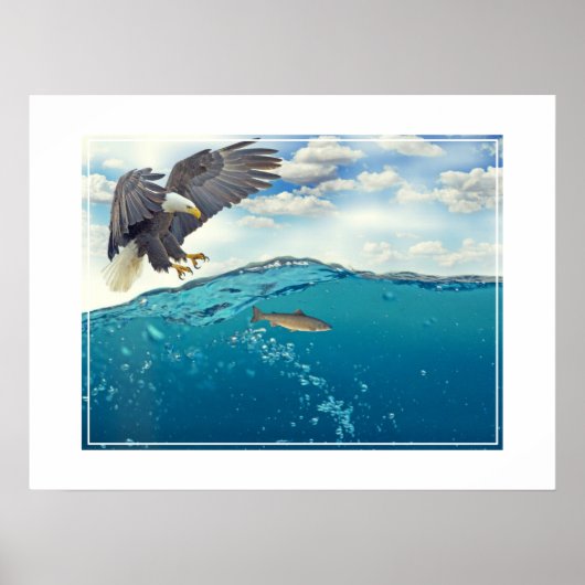 Poster-Eagle Poster (Voorkant)