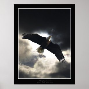 poster "Eagle Storm"