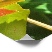 Poster Eastern Pondhawk Dragonfly (Hoek)