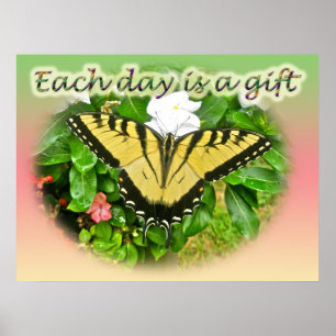 Poster Eastern Tiger Swallowtail Butterfly