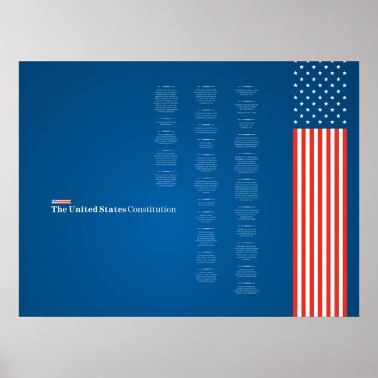 Poster Econo USA Obstiution American Flag (Voorkant)