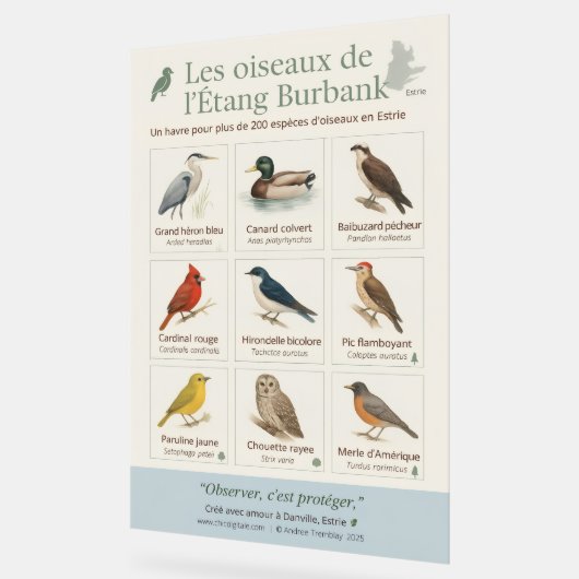 Poster éducatif – Les oiseaux de l’Étang Burbank ( (Hoek)