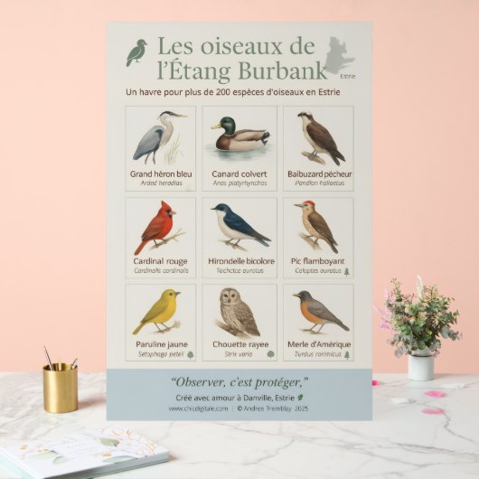 Poster éducatif – Les oiseaux de l’Étang Burbank ( (Huwelijk)