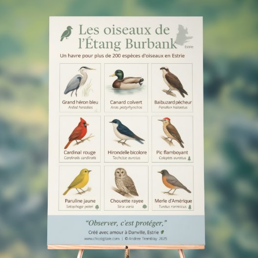 Poster éducatif – Les oiseaux de l’Étang Burbank ( (Neutraal)