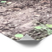 Poster eekhoorn (Hoek)