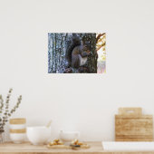 Poster eekhoorn. (Keuken)