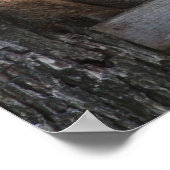 Poster eekhoorn (Hoek)