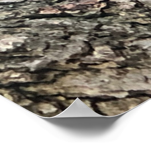 Poster eekhoorn (Hoek)