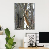 Poster - Eekhoorn (Thuiskantoor)