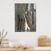 Poster - Eekhoorn (Keuken)