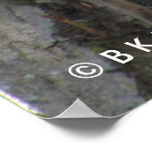 Poster - Eekhoorn (Hoek)